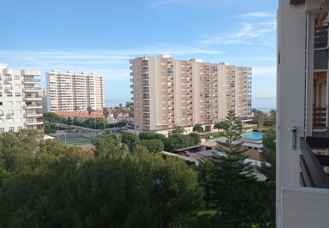 Studio à Playa de Gandía - 1.Tres Delfines 4ºC