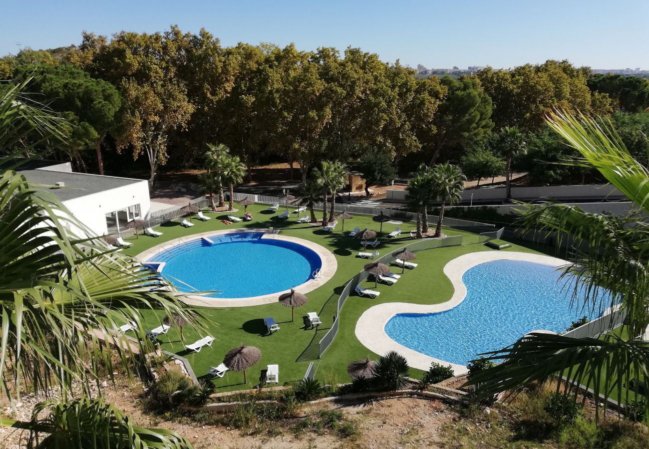 Appartement à Xeresa - 2.Xeresa del Monte bl.D9 esc.11 1º pta. 51
