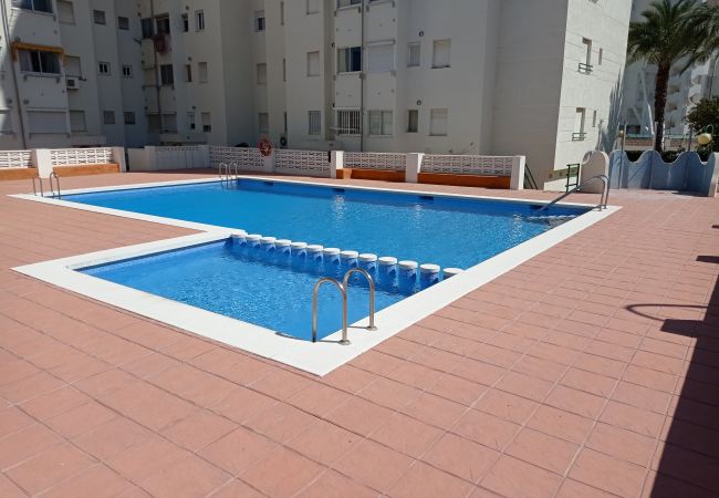 Appartement à Playa de Gandía - 1.Cancun IV bl.A esc.I 6º D Appartement à Playa de Gandía - 1.Cancun IV bl.A esc.I 6º D