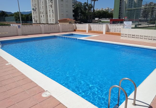 Appartement à Playa de Gandía - 1.Cancun IV bl.A esc.I 6º D Appartement à Playa de Gandía - 1.Cancun IV bl.A esc.I 6º D