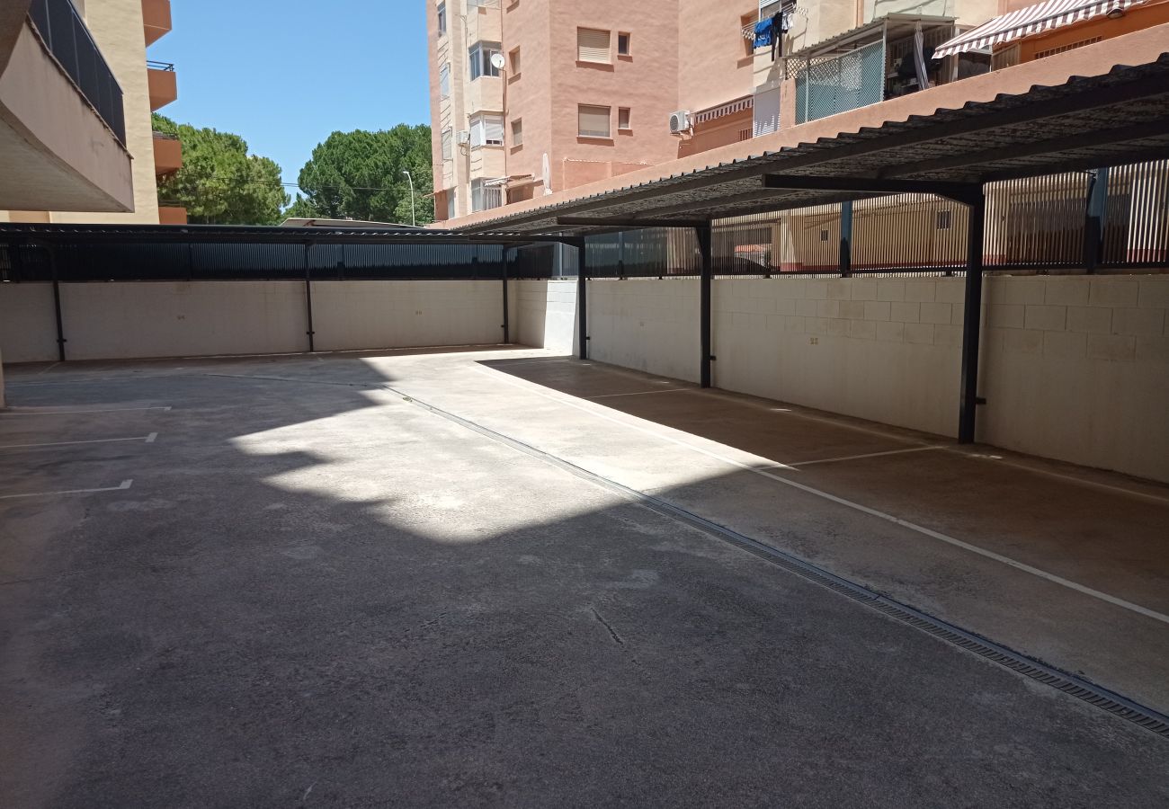 Appartement à Playa de Gandía - Bahia 8º Solo Familias!
