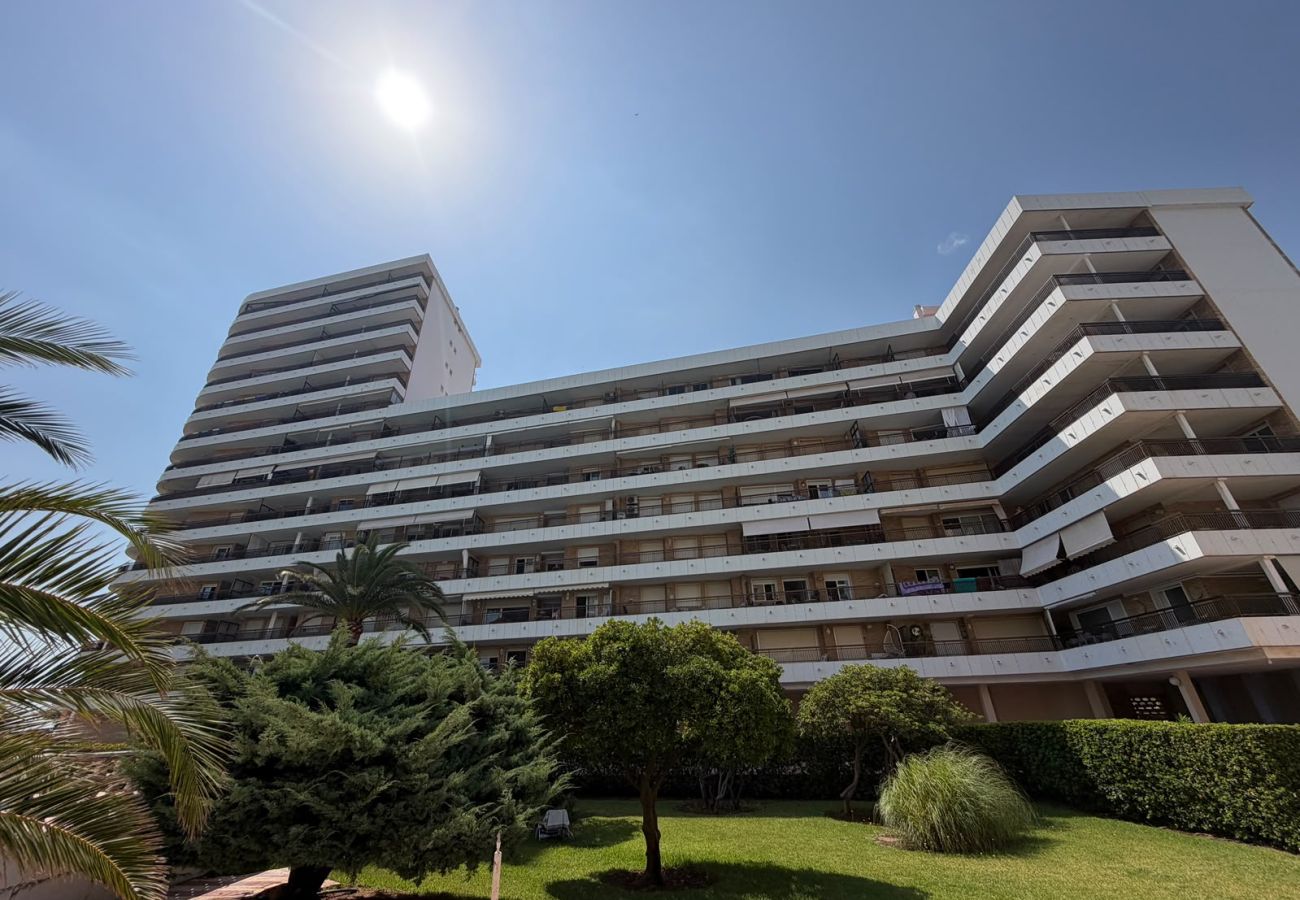 Appartement à Playa de Gandía - SAN PAULO 6º SOLO FAMILIAS