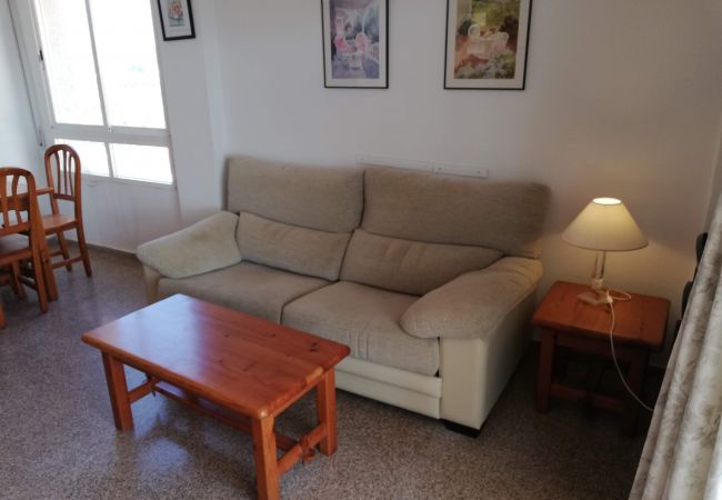 Lägenhet i Xeraco Playa - 4.Las Olas bl.II 3ºB (pta.8) Lägenhet i Xeraco Playa - 4.Las Olas bl.II 3ºB (pta.8)