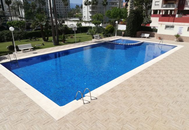 Lägenhet i Playa de Gandía - 1.Don Ximo 1º pta 1 (garaje 61) Lägenhet i Playa de Gandía - 1.Don Ximo 1º pta 1 (garaje 61)