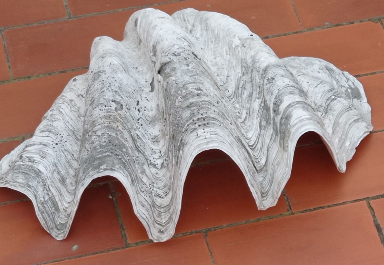 Lägenhet i Playa Xeraco - Mar Azul esc.II 6º pta.16 Solo Familias