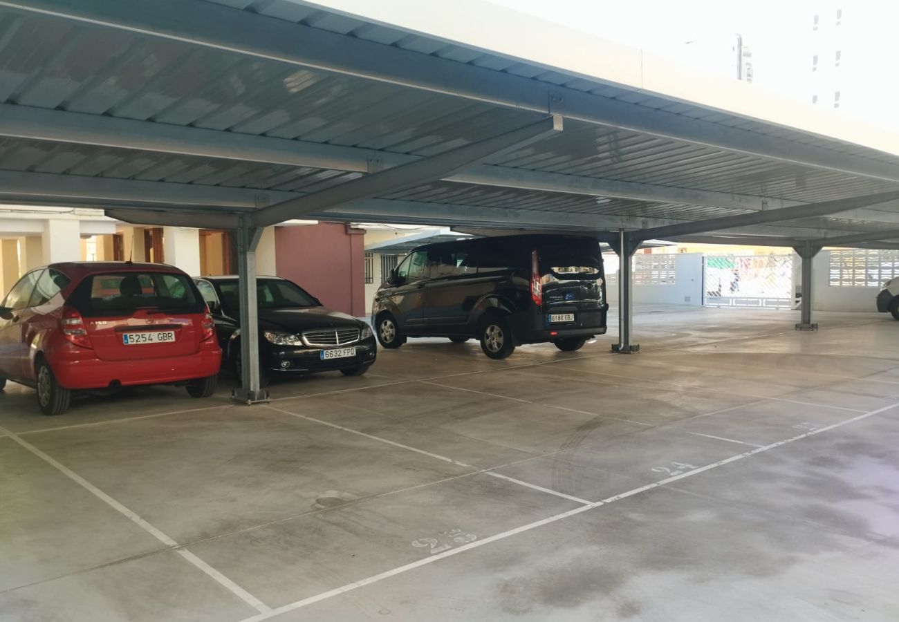 Lägenhet i Playa de Gandía - 1.Manacor esc.I 8º pta.15