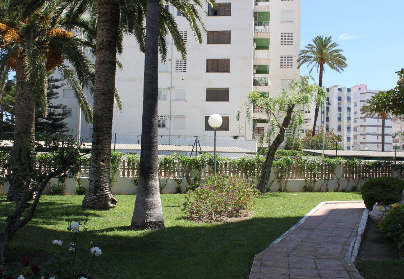 Lägenhet i Playa de Gandía - 1.Flamingo 1º pta 7 C